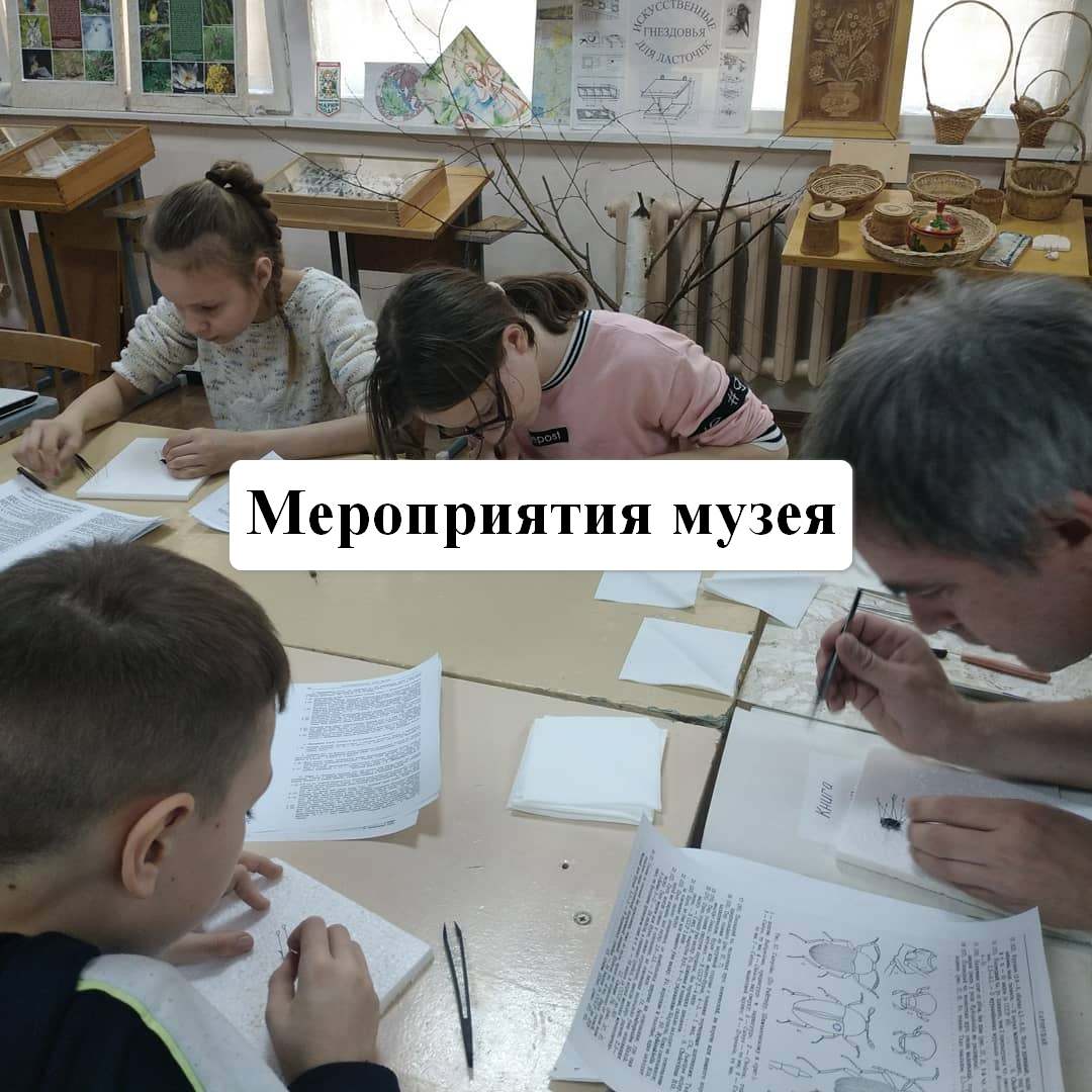 Мероприятия